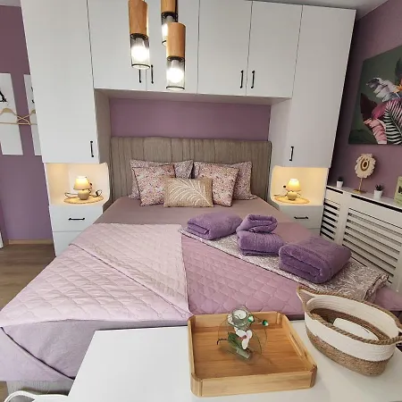 Amore Obzor Pensiune *